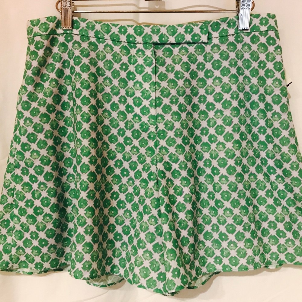 Green With Lavender Lining Shorts